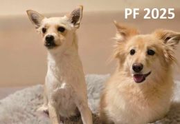 PF2025