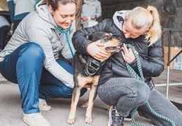 Světový den boje proti vzteklině 2025