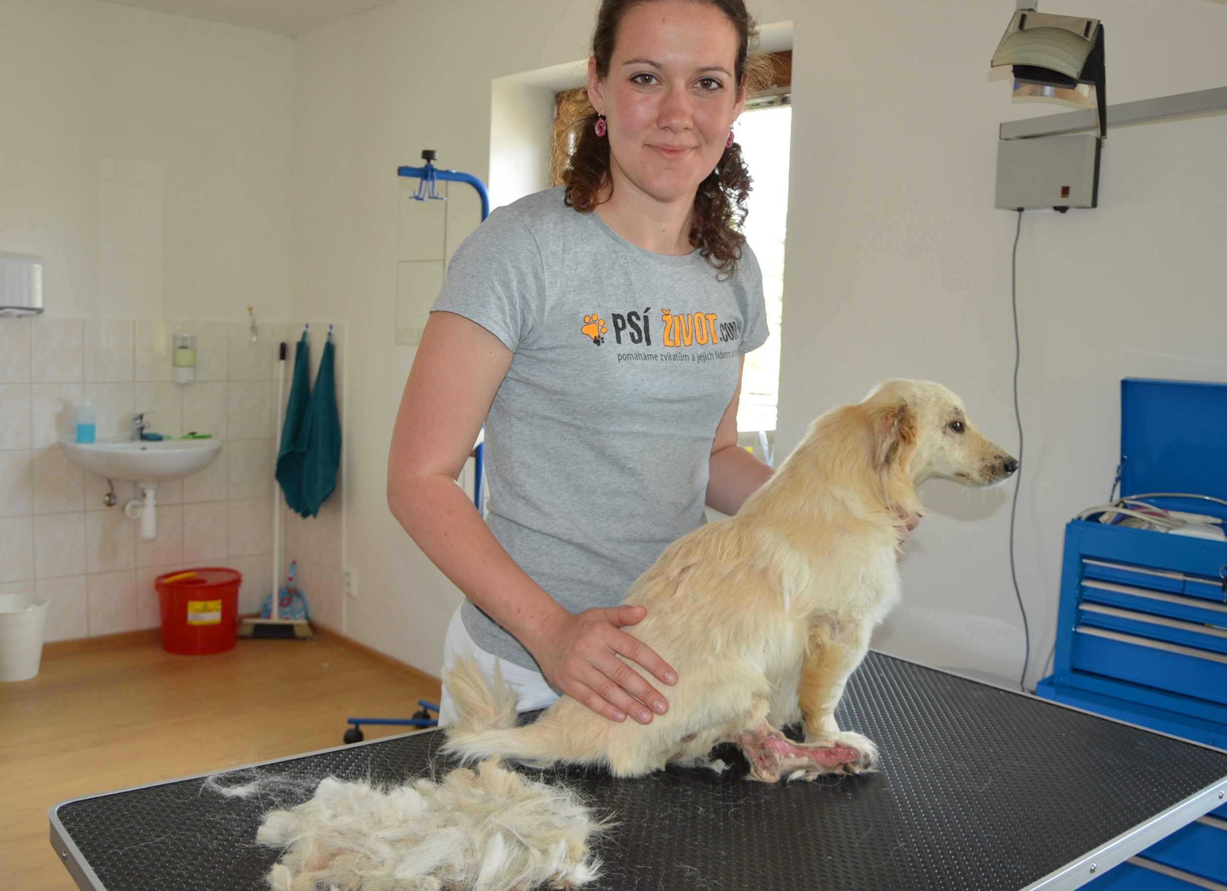 06 ošetření na veterině m