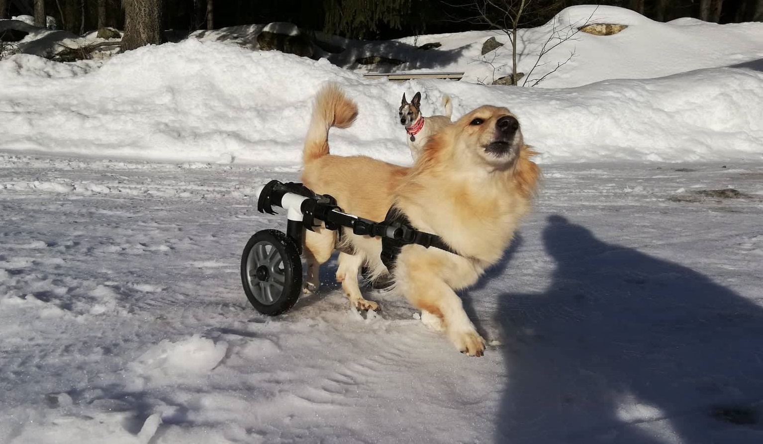 54423214 338020300159797 1892324038991151104 n