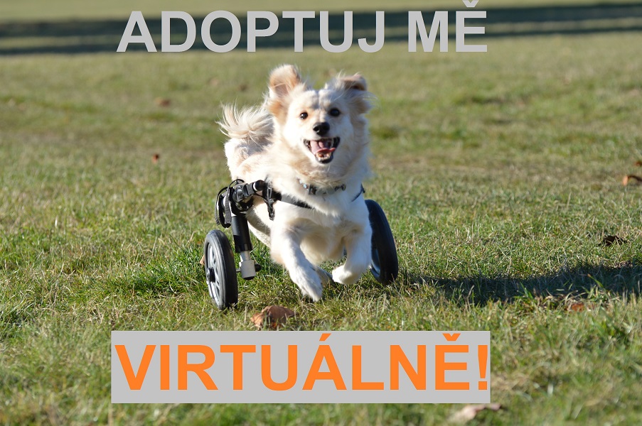 adoptuj me virtuálně m