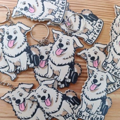 klenky_magnetky_1627312591