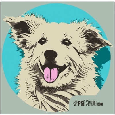 motiv_zeleny_1489477467