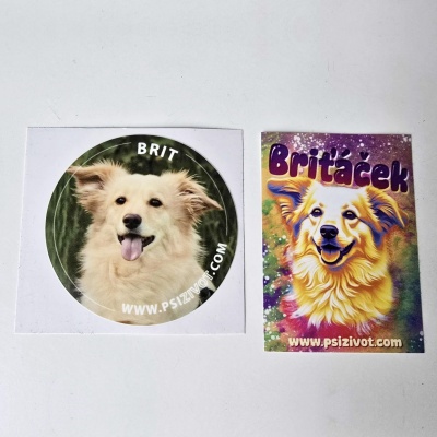 samolepky2