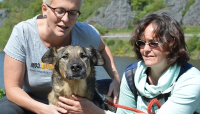 TÝRANÝ VODÍCÍ PES je po dvou letech průtahů konečně odebraný a volný k adopci!