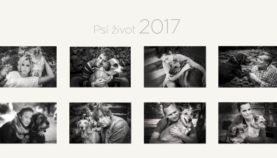 Kupte si Charitativní kalendář Psí život 2017