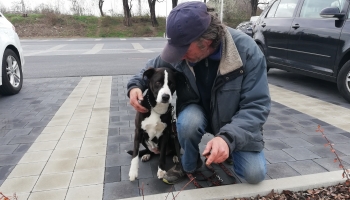 Zachránili jsme fenku Abbu!