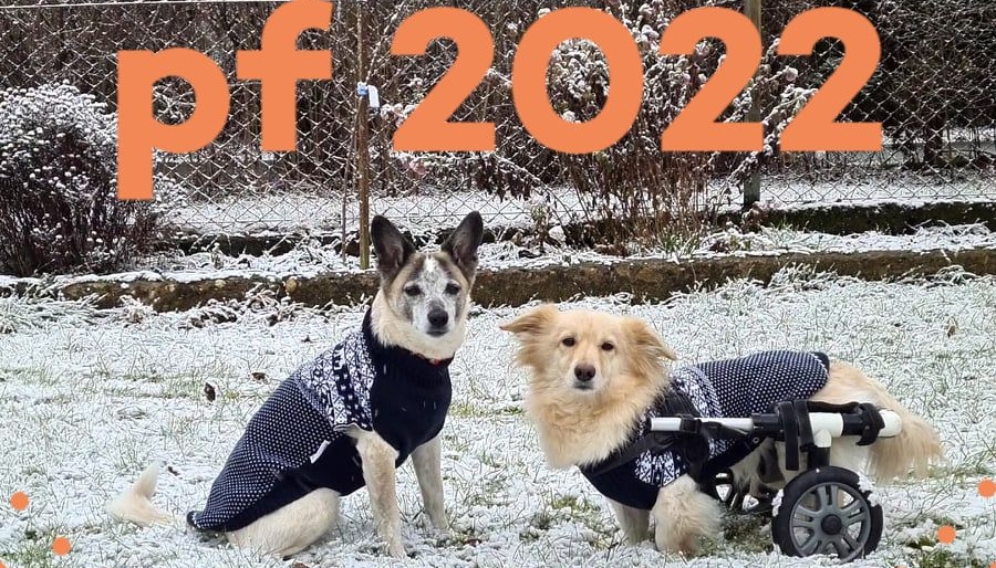 PF 2022