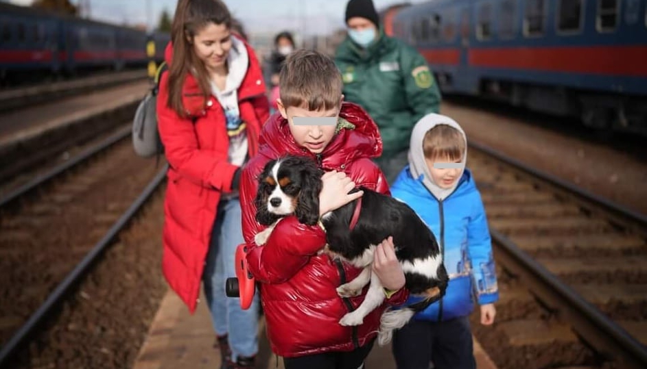 Pomoc uprchlíkům se zvířaty / ДОПОМОГА ТВАРИНАМ БІЖЕНЦІВ З УКРАЇНИ