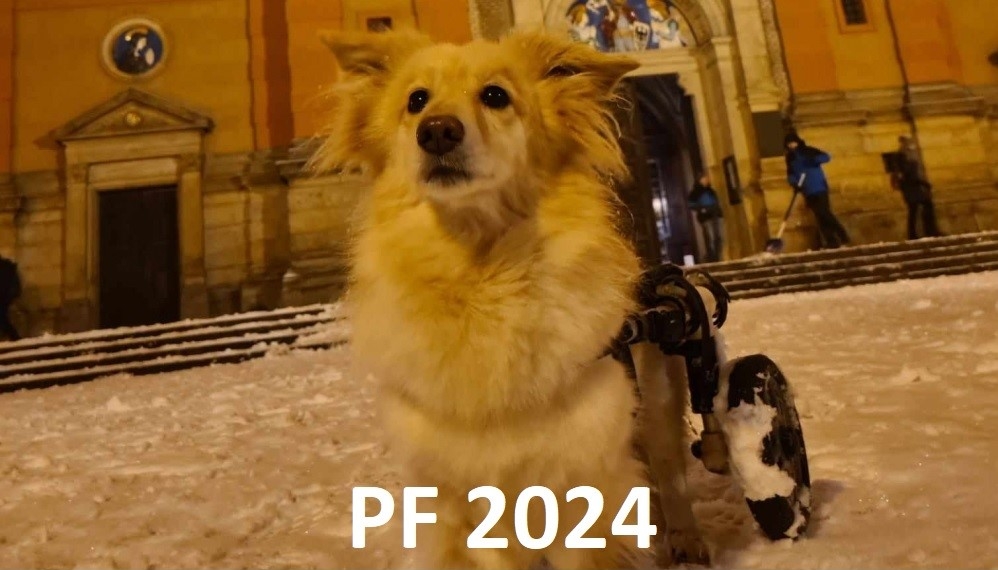 PF 2024