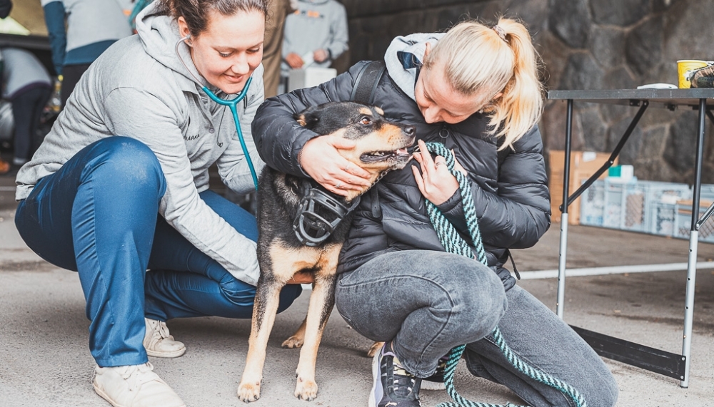 Světový den boje proti vzteklině 2025