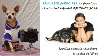 Charitativní psí kalendář 2016