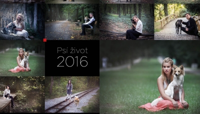 Charitativní kalendář Psí život 2016